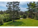 76 Megans View Pt - Photo 13