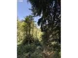18243 Bogynski Rd - Photo 11