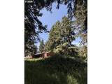 18243 Bogynski Rd - Photo 12