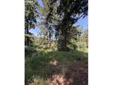 18243 Bogynski Rd - Photo 13