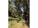 18243 Bogynski Rd - Photo 14