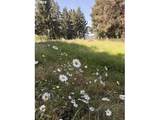 18243 Bogynski Rd - Photo 16