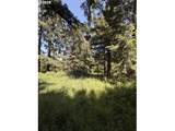 18243 Bogynski Rd - Photo 5