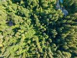 18243 Bogynski Rd - Photo 8