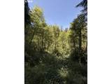 18243 Bogynski Rd - Photo 9