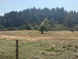0 Umpqua Hwy - Photo 2
