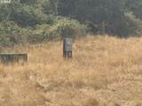 0 Umpqua Hwy - Photo 6