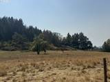 0 Umpqua Hwy - Photo 7