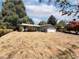 12685 Percheron Ln - Photo 1