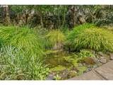 4823 Ireland Ln - Photo 43