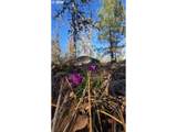  Lot 119 - Photo 13