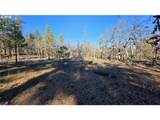  Lot 119 - Photo 14