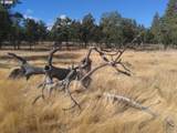  Lot 119 - Photo 17