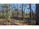  Lot 119 - Photo 9
