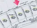  Shearwater Cir - Photo 5