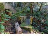 505 Creekside Ln - Photo 9