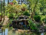 12002 Shanghai Rd - Photo 47