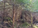 0 Steer Creek Rd - Photo 3