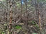 0 Steer Creek Rd - Photo 4