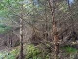 0 Steer Creek Rd - Photo 5