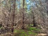 0 Steer Creek Rd - Photo 6