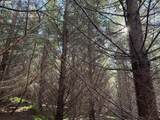 0 Steer Creek Rd - Photo 7