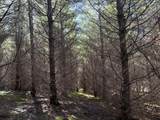 0 Steer Creek Rd - Photo 8
