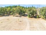 617 Poison Oak Dr - Photo 11