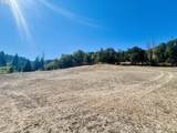 617 Poison Oak Dr - Photo 30