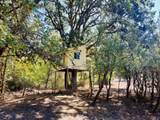 617 Poison Oak Dr - Photo 34
