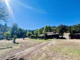 617 Poison Oak Dr - Photo 4