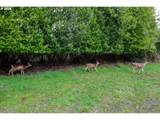 62885 Isthmus Heights Rd - Photo 4