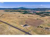 823 Horseshoe Bend Rd - Photo 4