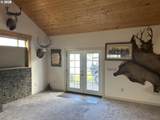 203 Alamo St - Photo 18