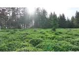 0 Finalburg Rd - Photo 19