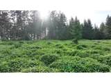0 Finalburg Rd - Photo 20