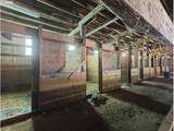 27214 Robinson Rd - Photo 11