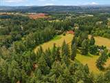 27214 Robinson Rd - Photo 23
