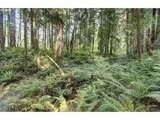 30600 98TH Ave - Photo 41