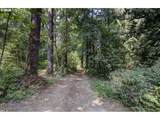 30600 98TH Ave - Photo 42