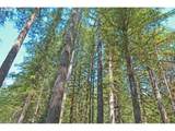 30703 Olson Rd - Photo 7