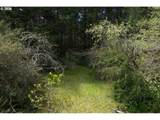 57490 Randolph Rd - Photo 42