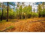  Brock Ranch Rd - Photo 10