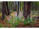  Brock Ranch Rd - Photo 13