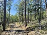  Brock Ranch Rd - Photo 18