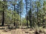  Brock Ranch Rd - Photo 20