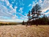  Brock Ranch Rd - Photo 4