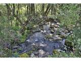 11830 Holly Springs Ln - Photo 40