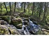 11830 Holly Springs Ln - Photo 41
