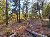 605 Pine Creek Rd - Photo 2